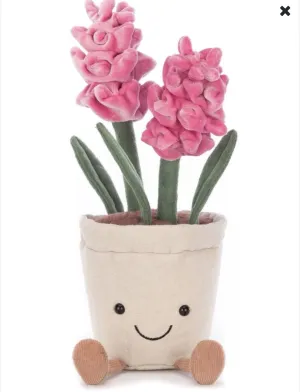 Amuseable Hyacinth