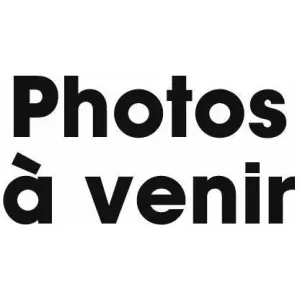Avid ressort plaquette Trail