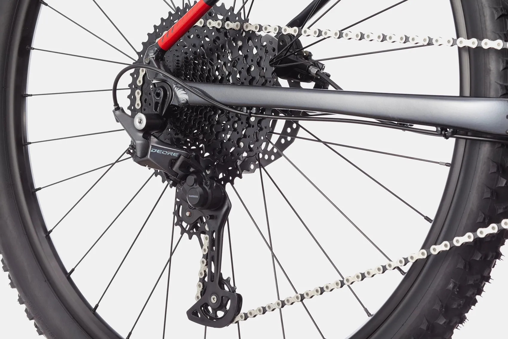 Cannondale Trail SL 3