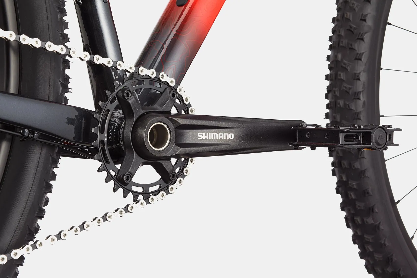 Cannondale Trail SL 3