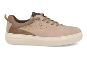 Cupsol Trainers - Taupe