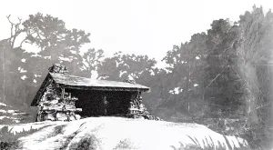 Fingerboard Shelter, New York. [ 41.26327, -74.10399 ]