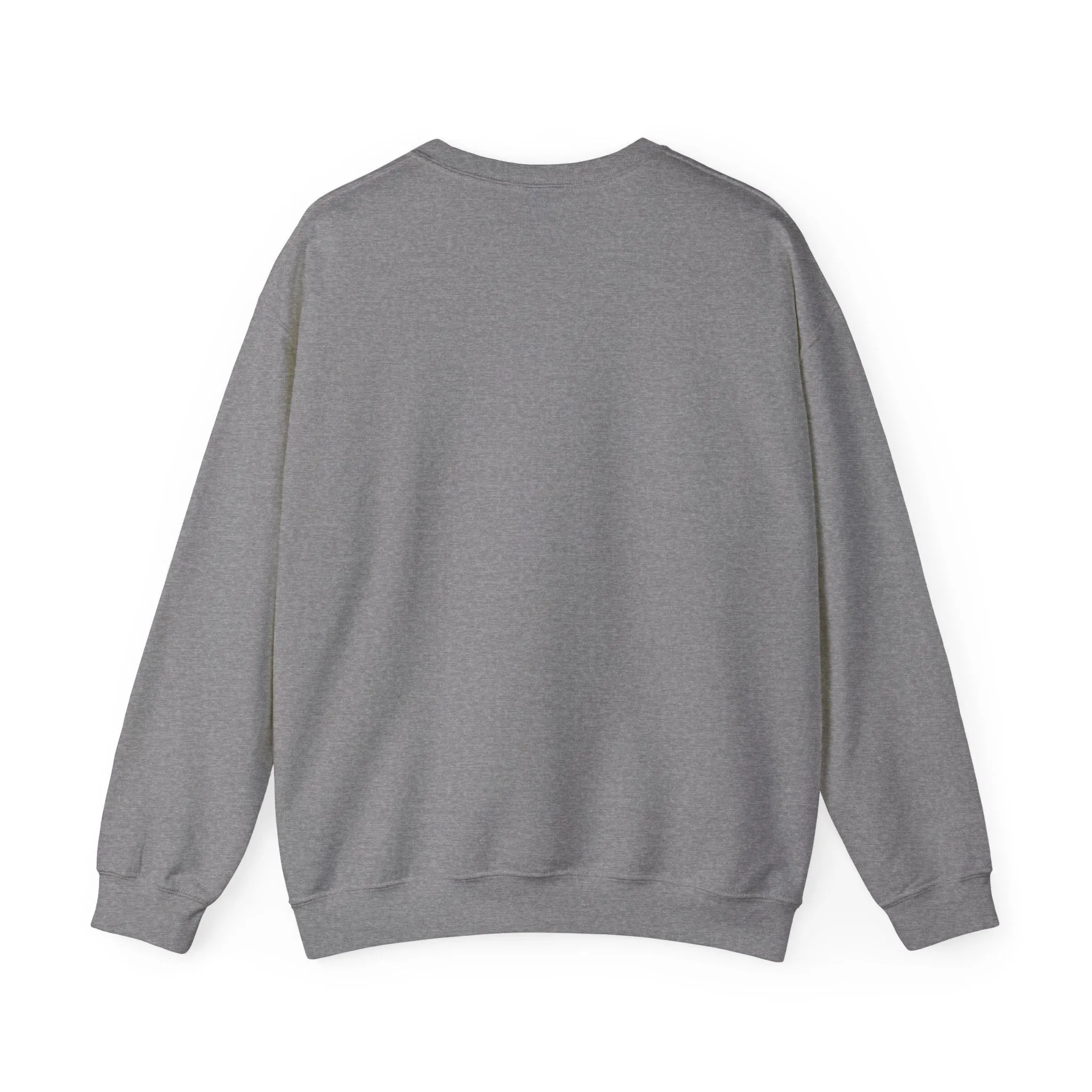 Passport Princess sweatshirt
