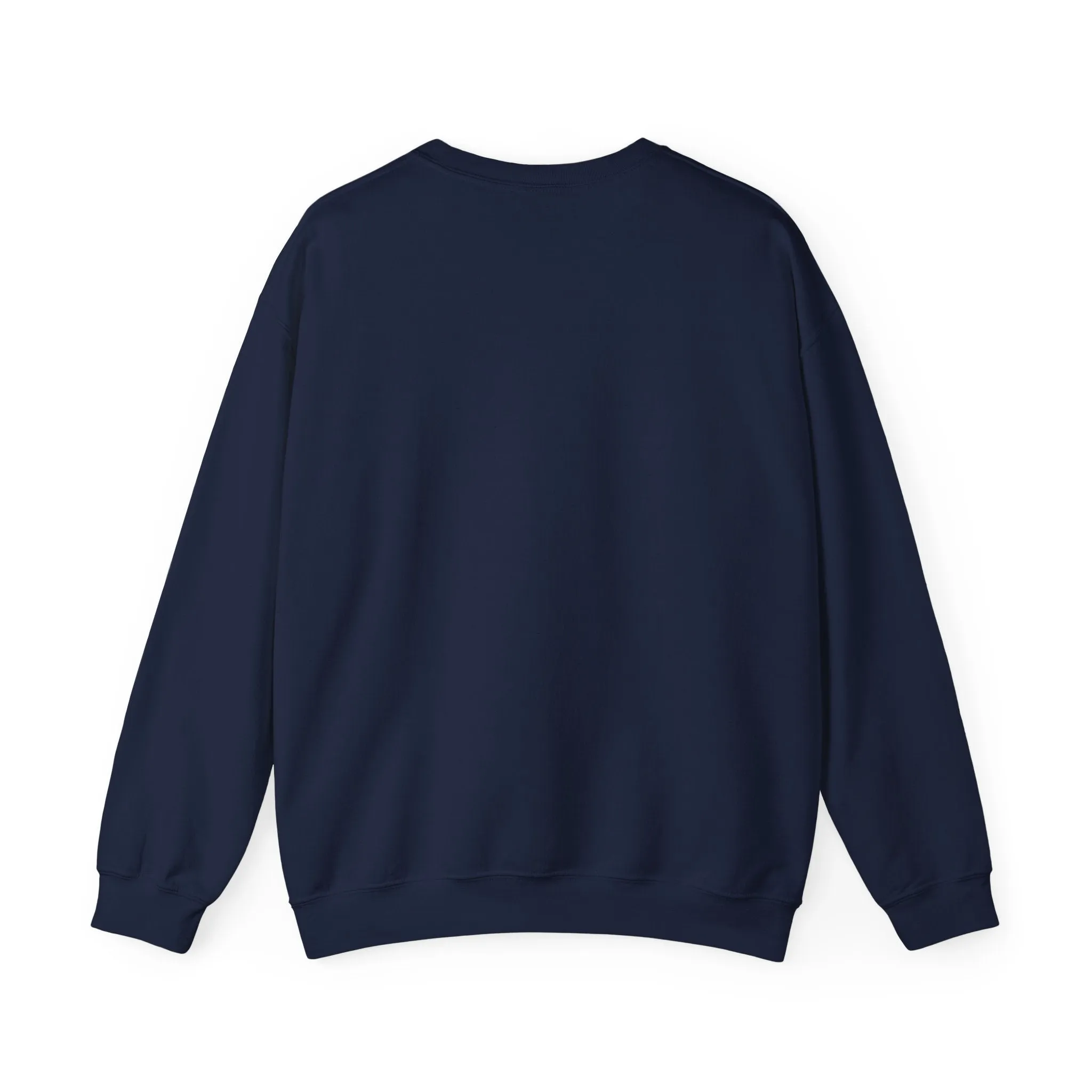 Passport Princess sweatshirt