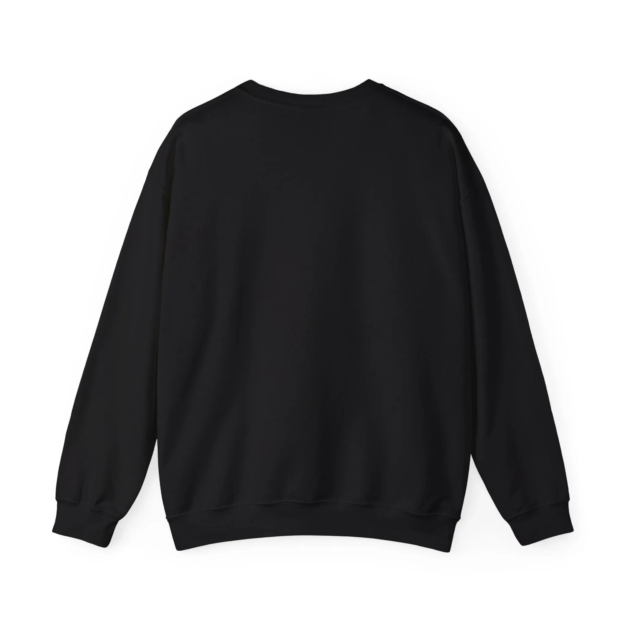 Passport Princess sweatshirt
