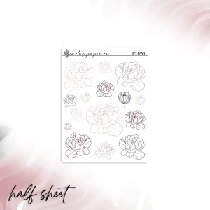 PEONY MINIMAL FLORAL DECO