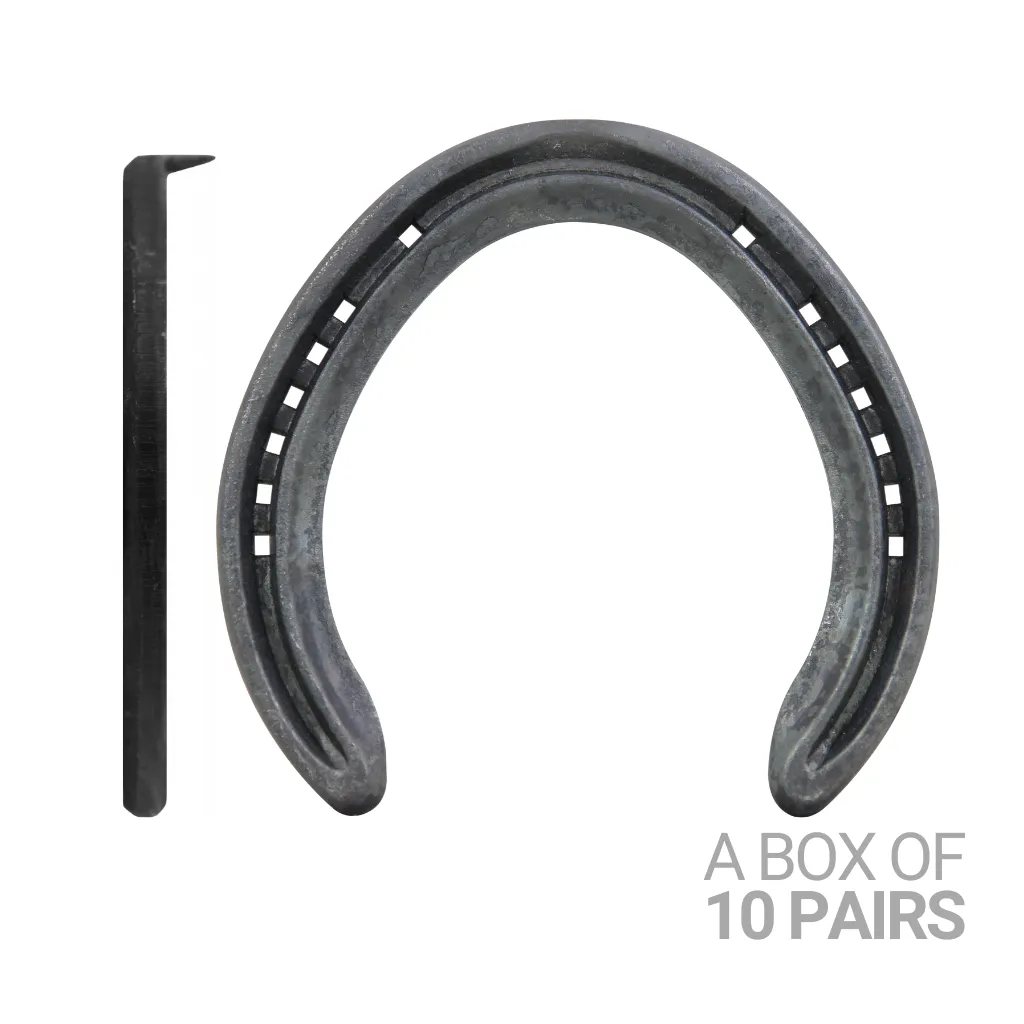 Quality Trainer 6 Hind 1/Clip