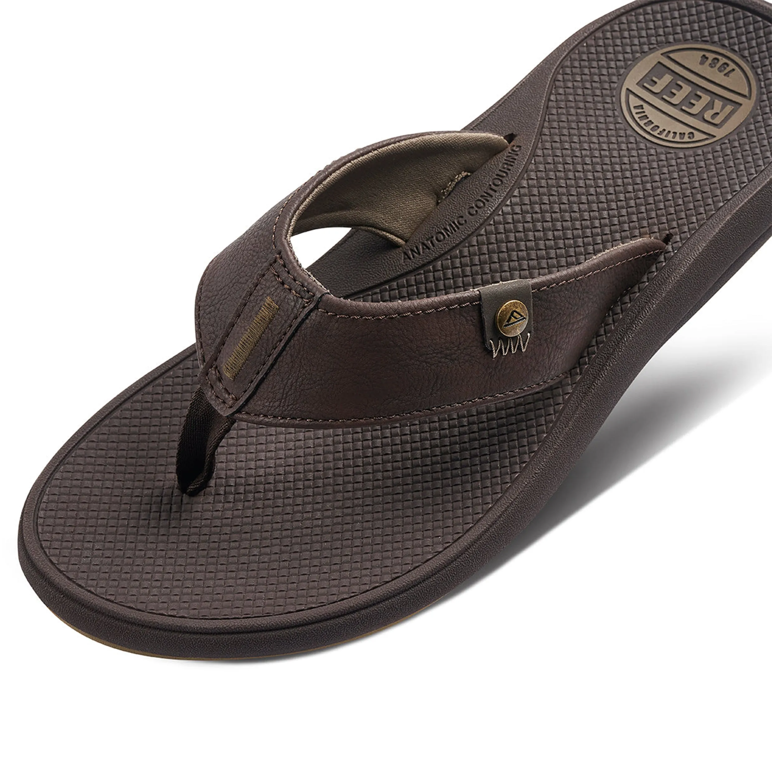 REEF PHANTOM NIAS JANDAL