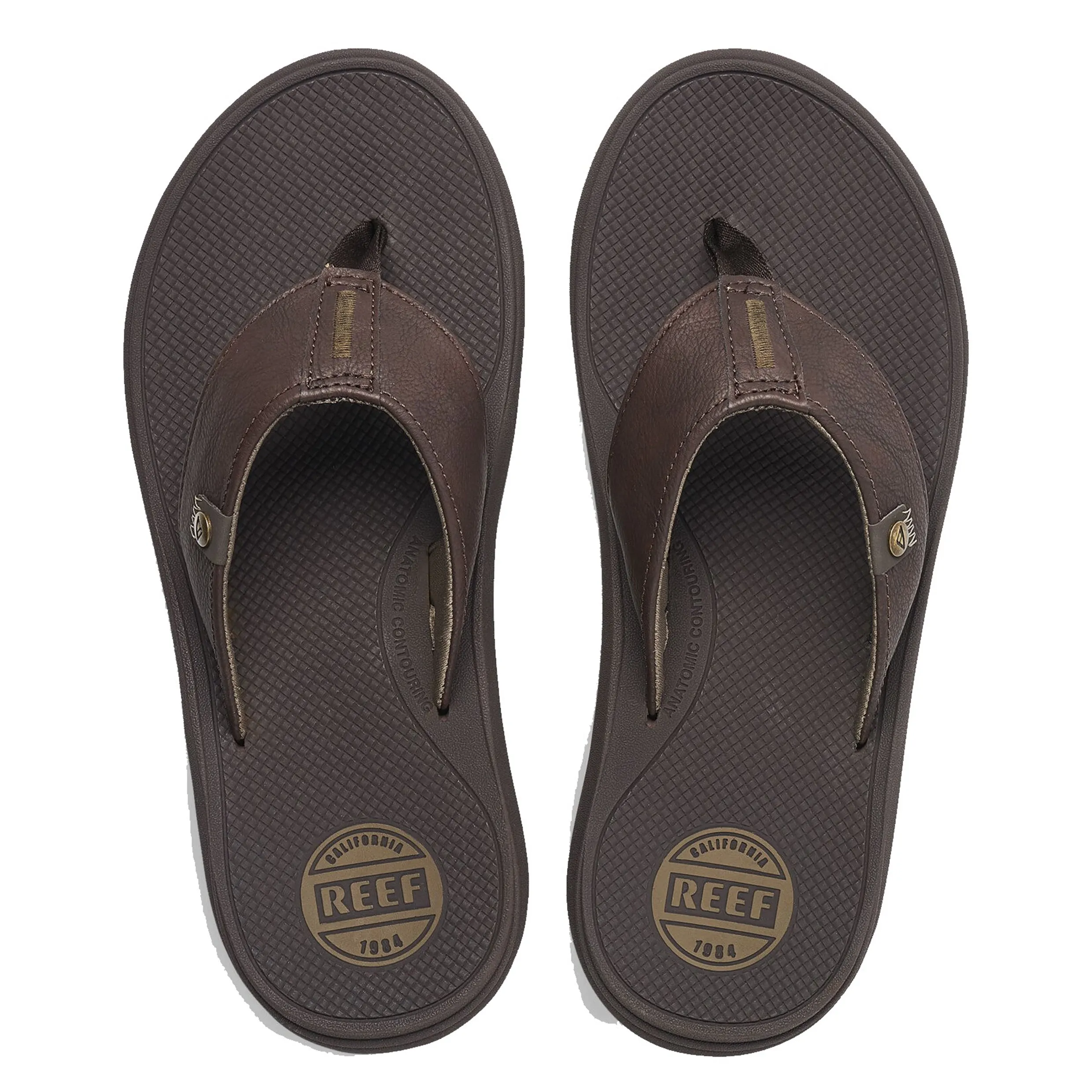 REEF PHANTOM NIAS JANDAL