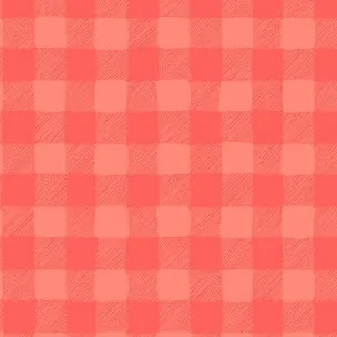Trail Mix Gingham in Coral by Dear Stella