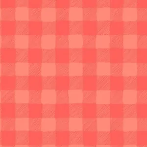 Trail Mix Gingham in Coral by Dear Stella